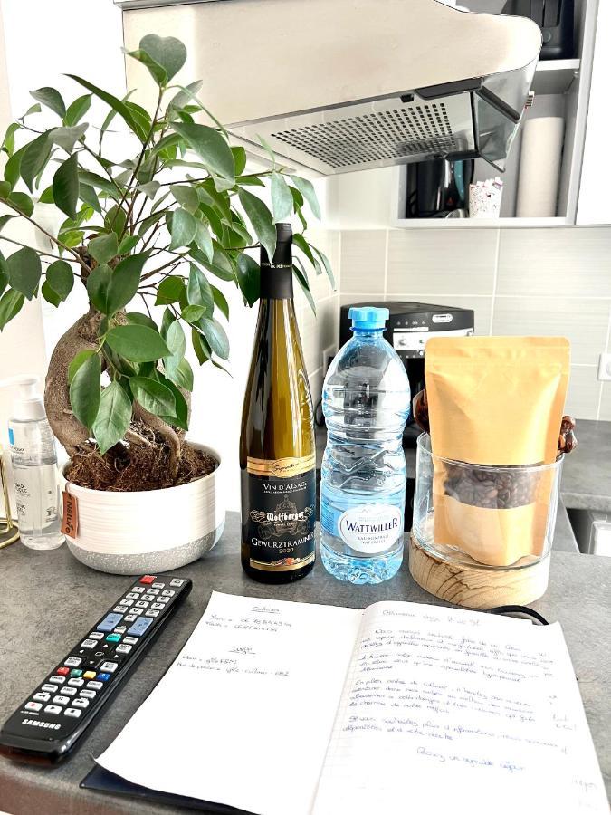 Hyper Centre - Colmar Cathedrale - Parking Gratuit Apartment Екстериор снимка